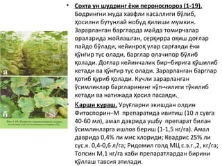 • Сохта ун шудринг ёки пероноспороз (1-19).
Бодрингни жуда хавфли касаллиги бўлиб,
осилни бутунлай нобуд илиши мумкин.ҳ қ
Зарарланган баргларда майда томирчалар
ораларида жойлашган, сер ирра о иш до ларқ қ ғ
пайдо бўлади, кейинро улар сар аяди ёкиқ ғ
ўн ир тус олади, барглар олачипор бўлибқ ғ
олади. До лар кейинчалик бир–бирига ўшилибқ ғ қ
кетади ва ўн ир тус олади. Зарарланган баргларқ ғ
отиб уриб олади. Кучли зарарланганқ қ қ
ўсимликлар баргларининг кўп-чилиги тўкилиб
кетади ва натижада осил пасаяди.ҳ
• арши кураш.Қ Уру ларни экишдан олдинғ
Фитоспорин–М препаратида ивитиш (10 л сувга
40-60 мл), амал даврида ушбу препарат билан
ўсимликларга ишлов бериш (1-1,5 кг/га). Амал
даврида 0,4% ли мис хлориди; Квадрис 25% ли
сус.к. 0,4-0,6 л/га; Ридомил голд МЦ с.э.г.,2, кг/га;
Топсин М,1 кг/га каби препаратлардан бирини
ўллаш тавсия этилади.қ
 