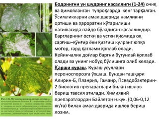 • Бодрингни ун шудринг касаллиги (1-24) очиқ
ва имояланган тупро ларда кенг тар алган.ҳ қ қ
Ўсимликларни амал даврида намликни
ортиши ва ароратни кўтарилишиҳ
натижасида пайдо бўладиган касалликдир.
Баргларнинг остки ва устки исмида оқ қ
сар иш– ўн ир ёки из иш кулранг юп ағ қ ғ қ ғ қ
мо ор, гард атлами оплаб олади.ғ қ қ
Кейинчалик до лар баргни бутунлай оплабғ қ
олади ва унинг нобуд бўлишига олиб келади.
• арши курашҚ . Кураш усуллари
пероноспорозга ўхшаш. Бундан таш ариқ
Алирин-Б, Планриз, Гамаир, Псевдобактерин-
2 биологик препаратлари билан ишлов
бериш тавсия этилади. Химиявий
препаратлардан Байлетон н.кук. (0,06-0,12
кг/га) билан амал даврида ишлов бериш
лозим.
 