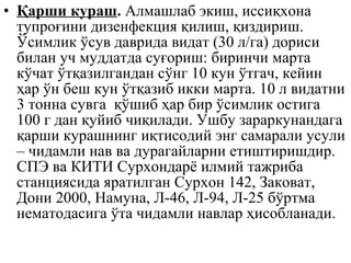 • Қарши кураш. Алмашлаб экиш, иссиқхона
тупроғини дизенфекция қилиш, қиздириш.
Ўсимлик ўсув даврида видат (30 л/га) дориси
билан уч муддатда суғориш: биринчи марта
кўчат ўтқазилгандан сўнг 10 кун ўтгач, кейин
ҳар ўн беш кун ўтқазиб икки марта. 10 л видатни
3 тонна сувга қўшиб ҳар бир ўсимлик остига
100 г дан қуйиб чиқилади. Ушбу зараркунандага
қарши курашнинг иқтисодий энг самарали усули
– чидамли нав ва дурагайларни етиштиришдир.
СПЭ ва КИТИ Сурхондарё илмий тажриба
станциясида яратилган Сурхон 142, Заковат,
Дони 2000, Намуна, Л-46, Л-94, Л-25 бўртма
нематодасига ўта чидамли навлар ҳисобланади.
 