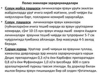 Полиз экинлари зараркунандалари
• овун майса пашшасиҚ личинкалари овун уру и экилганқ ғ
майдонларда уру ичига кириб ма зини, униб чи ан ёшғ ғ ққ
ни олларни барг, пояларини кемириб зарарлайди.ҳ
• овун пашшасиҚ личинкалари овун хамаклариқ
(туйнаклари)ни ичига тешиб киради ва овун уру лариниқ ғ
кемиради, сўнг 10-15 кун овун ичида яшаб охирги ёшдагиқ
личинкалари овунни тешиб чи ади ва тупро нинг 5-7 смқ қ қ
чу урлигида умбакка айланади. Бир мавсумда 4-5 авлодқ ғ
беради.
• арши курашҚ . Уру лар униб чи иши ва овунни гуллаш,ғ қ қ
хамаклаш даврларида ар иккала зараркунандага каршиҳ
Децис препаратидан 0,3 л/га ёки Карбофос препаратидан
0,8 л/га ёки Фуфанондан 1,0 л/га исобида 600 л сувгаҳ
аралаштирилиб пуркаш тавсия этилади. Бу дорилар билан
ишлов бериш овун пишишидан бир ой олдин тўхтатилади.қ
 