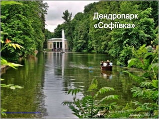 • Знаменитий двохсотлітній дендропарк «Софіївка»
знаходиться в місті Умань Черкаської області.
Заснований парк у 1796 році польським магнатом
Станіславом Потоцьким на честь дружини – красуні-
гречанки Софії, і був подарований їй у день її янгола
в травні 1802 року. Своєю красою він може
зрівнятися з палацовим парком у Версалі або парком
Сан-Сусі в Потсдамі. Усіх, хто потрапляє в Софіївку,
вражає гармонія рослинного світу з архітектурними
творіннями.
http://uateka.com/uk/article/geography/nature/911
 