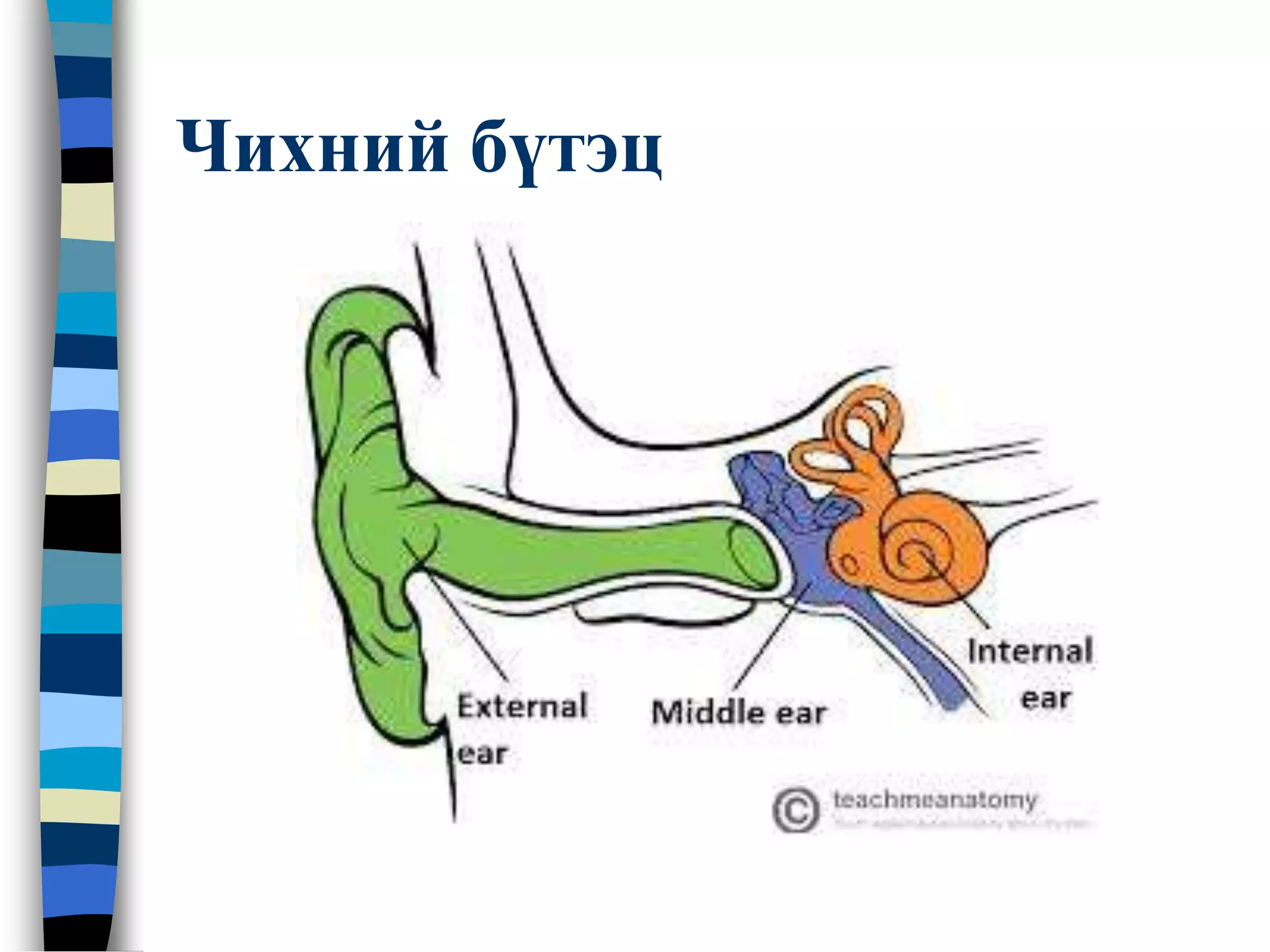 Дунд чихний архаг үрэвсэл | PPT