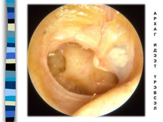 А
Р
Х
А
Г
И
Д
Э
Э
Т
Ү
Р
Э
В
С
Э
Л
 