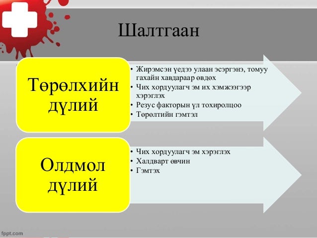 Дотор чихний эмгэг