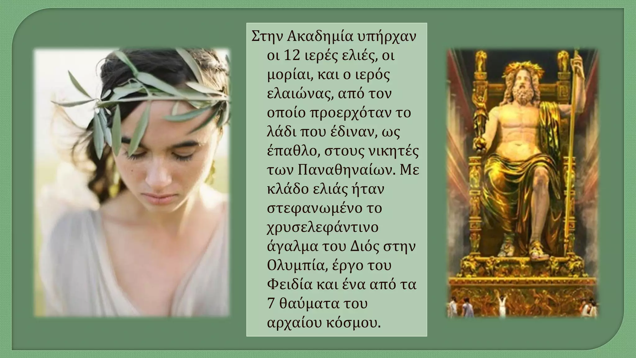 Στην Ακαδημία υπήρχαν
οι 12 ιερές ελιές, οι
μορίαι, και ο ιερός
ελαιώνας, από τον
οποίο προερχόταν το
λάδι που έδιναν, ως
έπαθλο, στους νικητές
των Παναθηναίων. Με
κλάδο ελιάς ήταν
στεφανωμένο το
χρυσελεφάντινο
άγαλμα του Διός στην
Ολυμπία, έργο του
Φειδία και ένα από τα
7 θαύματα του
αρχαίου κόσμου.
 