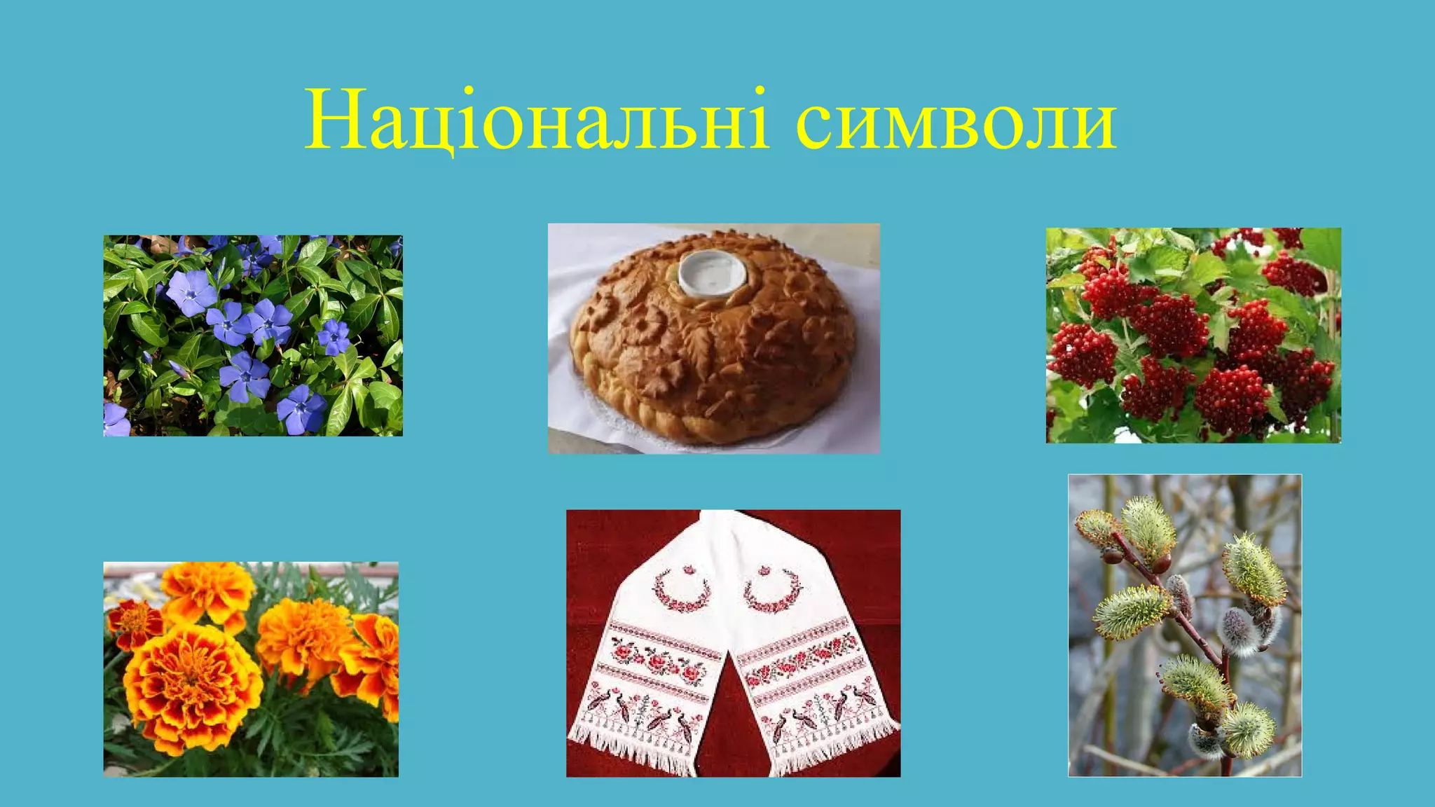 Національні символи
 