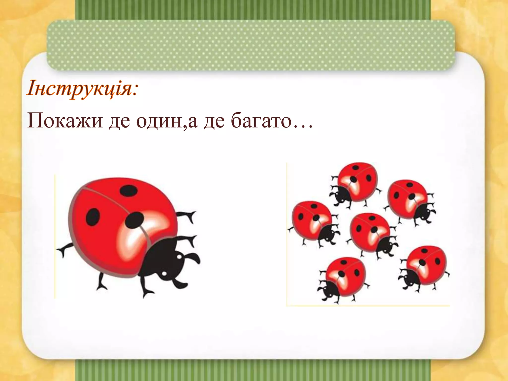 Покажи де один,а де багато…
 