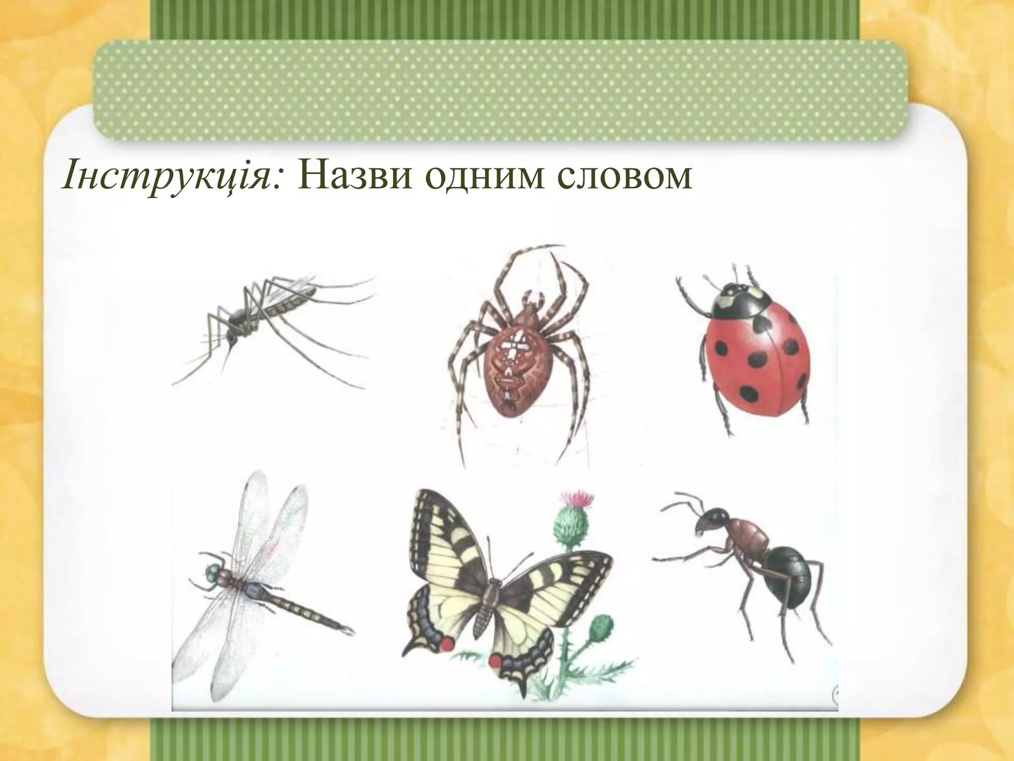 Інструкція: Назви одним словом
 