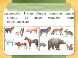 Інструкція: Назви обидва малюнки одним
словом. За якою ознакою вони
відрізняються?
 