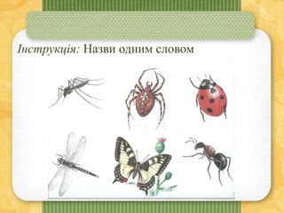 Інструкція: Назви одним словом
 