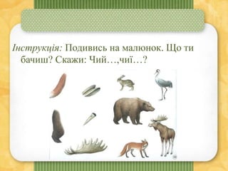 Інструкція: Подивись на малюнок. Що ти
бачиш? Скажи: Чий…,чиї…?
 