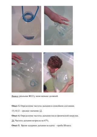 Вывод: реальная ЖЕЛ у меня меньше должной.
Опыт 3. Определение частоты дыхания в спокойном состоянии.
15,14,12 – среднее значение 12.
Опыт 4. Определение частоты дыхания после физической нагрузки.
20. Частота дыхания возросла на 67%.
Опыт 5. Время задержки дыхания на вдохе - проба Штанге.
 