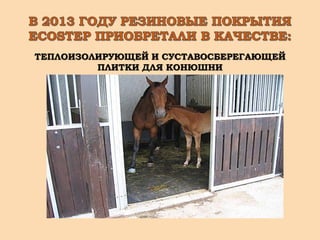 ТЕПЛОИЗОЛИРУЮЩЕЙ И СУСТАВОСБЕРЕГАЮЩЕЙ
ПЛИТКИ ДЛЯ КОНЮШНИ
 