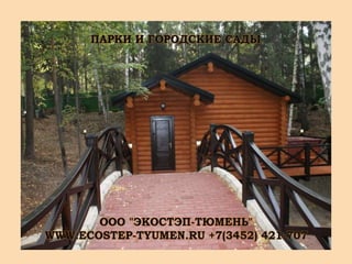 экостэп