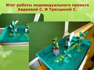 Итог работы индивидуального проекта
Авдеевой С. И Трясциной С.
 