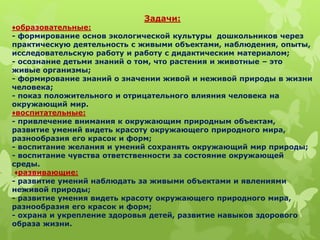 Задачи:
♦образовательные:
- формирование основ экологической культуры дошкольников через
практическую деятельность с живыми объектами, наблюдения, опыты,
исследовательскую работу и работу с дидактическим материалом;
- осознание детьми знаний о том, что растения и животные – это
живые организмы;
- формирование знаний о значении живой и неживой природы в жизни
человека;
- показ положительного и отрицательного влияния человека на
окружающий мир.
♦воспитательные:
- привлечение внимания к окружающим природным объектам,
развитие умений видеть красоту окружающего природного мира,
разнообразия его красок и форм;
- воспитание желания и умений сохранять окружающий мир природы;
- воспитание чувства ответственности за состояние окружающей
среды.
♦развивающие:
- развитие умений наблюдать за живыми объектами и явлениями
неживой природы;
- развитие умения видеть красоту окружающего природного мира,
разнообразия его красок и форм;
- охрана и укрепление здоровья детей, развитие навыков здорового
образа жизни.
 
