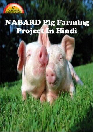 NABARD Pig Farming
Project In Hindi
 