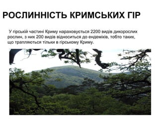 РОСЛИННІСТЬ КРИМСЬКИХ ГІР
У гірській частині Криму нараховується 2200 видів дикорослих
рослин, з них 200 видів відноситься до ендеміків, тобто таких,
що трапляються тільки в гірському Криму.
 