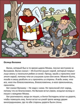 Ослица Валаама
Валак, который был в то время царем Моава, послал вестников за
Валаамом. Валак сказал: – Из Египта вышел народ, который покрыл
лицо земли и поселился рядом со мной. Прошу, приди и прокляни мне
этот народ, потому что он слишком силен для меня. Может быть,
тогда я смогу разбить их и прогнать из страны. Я ведь знаю, что
все, кого ты благословляешь, благословенны, а кого проклинаешь,
прокляты.
Бог сказал Валааму: – Не ходи с ними. Не проклинай этот народ,
потому что он благословен. Но Валаам встал утром, оседлал ослицу и
пошел с вождями Моава.
Бог разгневался, когда он пошел, и Ангел Господень встал на дороге,
чтобы помешать ему. Ангел встал на узкой тропе между двумя
виноградниками, где по обе стороны дороги были стены.
 