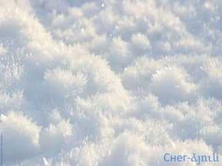 Снег-ձյուն
 