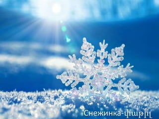 Снежинка-փաթիլ
 