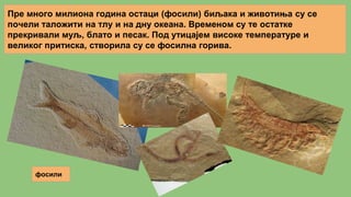 Пре много милиона година остаци (фосили) биљака и животиња су се
почели таложити на тлу и на дну океана. Временом су те остатке
прекривали муљ, блато и песак. Под утицајем високе температуре и
великог притиска, створила су се фосилна горива.
фосили
 