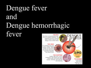Dengue fever
and
Dengue hemorrhagic
fever
 