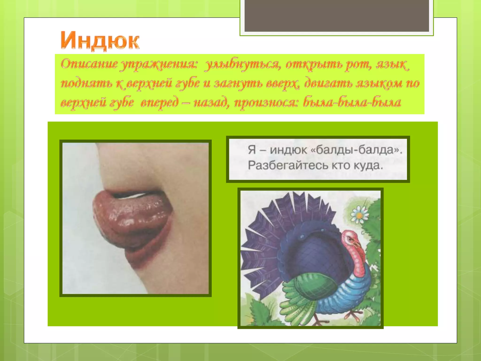 Артикуляционная гимнастика