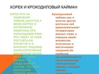 ХОРЕК-ЭТО НА
УДИВЛЕНИЕ
ЛОВКОЕ,БЫСТРОЕ,У
МНОЕ,ХИТРОЕ И
ОСТОРОЖНОЕ
ЖИВОТНОЕ.ПРИ
НЕОБХОДИМОСТИХО
РЕК УМЕЕТ ЗА СЕБЯ
ПОСТОЯТЬ:ОН
КУСАЕТСЯ И И
БРЫЗГАЕТ ПОДОБНО
СКУНСУПРОТИВНОЙ
ЖИДКОСТЬЮ,КОТОР
АЯ ДАЖЕ СОБАК
СБИВАЕТ СО
СЛЕДА.БЫВАЛИ
СЛУЧАИ ,ЧТО ЭТОТ
МАЛЕНЬКИЙ
Крокодиловый
кайман,как и
многие другие
рептилии,чей
ареалохватывает
тетерритории
разных стран и
народов,имеет
множество
этнических и
местечковых
названий.Но
наиболее
частоупоминаются
такие имена,как
крокодиловый
кайман, очковый
кайман,
ХОРЕК И КРОКОДИЛОВЫЙ КАЙМАН
 