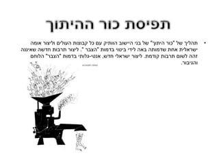 •‫של‬ ‫תהליך‬"‫היתוך‬ ‫כור‬"‫אומה‬ ‫וליצור‬ ‫העולים‬ ‫קבוצות‬ ‫כל‬ ‫עם‬ ‫הוותיק‬ ‫היישוב‬ ‫בני‬ ‫של‬
‫בדמות‬ ‫ביטוי‬ ‫לידי‬ ‫באה‬ ‫שדמותה‬ ‫אחת‬ ‫ישראלית‬"‫הצבר‬."‫שאיננה‬ ‫חדשה‬ ‫תרבות‬ ‫ליצור‬
‫קודמת‬ ‫תרבות‬ ‫לשום‬ ‫זהה‬.‫חדש‬ ‫ישראלי‬ ‫ליצור‬,‫אנטי‬-‫בדמות‬ ‫גלותי‬"‫הצבר‬"‫הלוחם‬
‫והגיבור‬.
 
