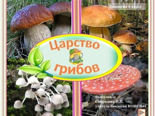 Грибы | PPT