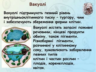 Вакуолі
Вакуолі містять запасні поживні
речовини, кінцеві продукти
обміну, також пігменти.
Різнобарвні пігменти,
розчинені у клітинному
соку, зумовлюють забарвлення
певних типів
клітин і частин рослин –
плодів, коренеплодів,
квіток.
Вакуолі підтримують певний рівень
внутрішньоклітинного тиску – тургору, чим
і забезпечують збереження форми клітин.
 