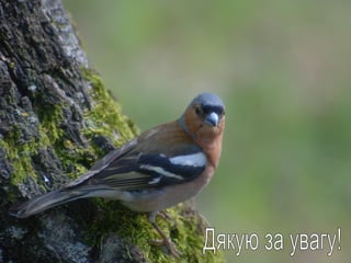 роль учнівських екологічних експедицій у формуванні ціннісного ставлення до природи
