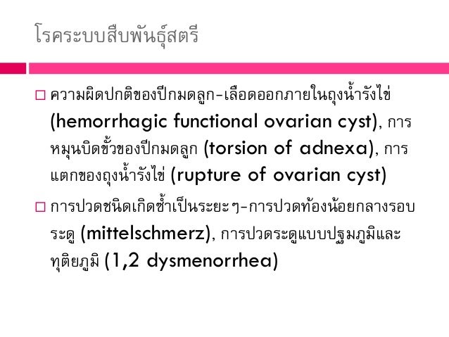 View Adnexa Of Uterus คือ Pics