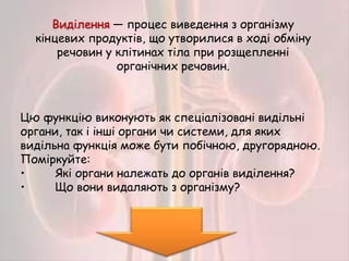 Яку функцію виконують хаби?