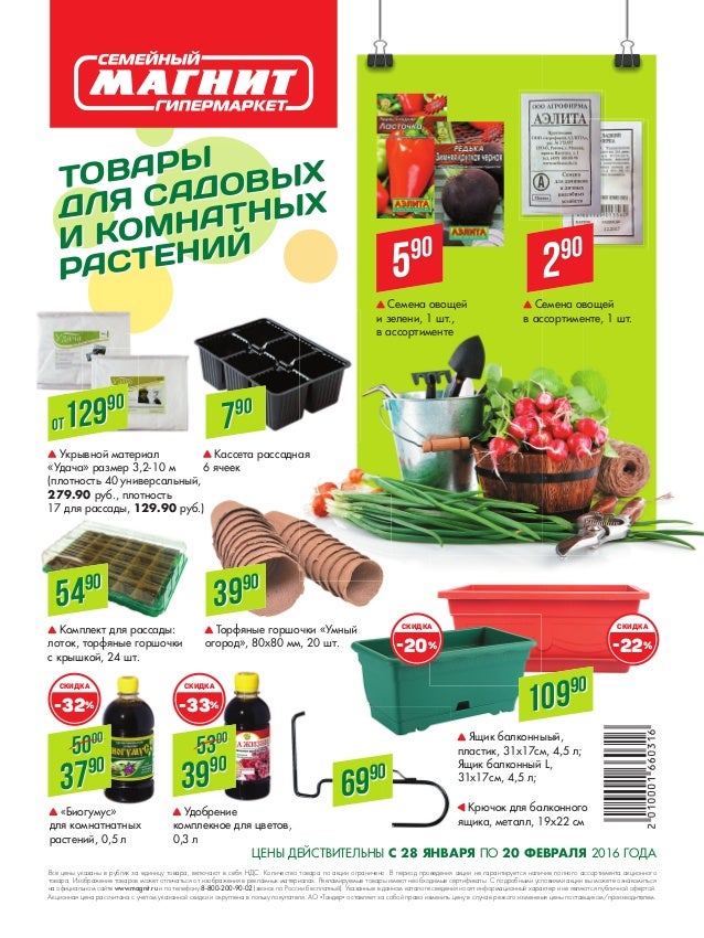 Дом И Сад Интернет Магазин Белый Раст
