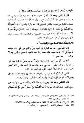 تفسير الإمام الشافعي