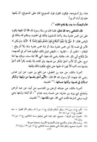 تفسير الإمام الشافعي