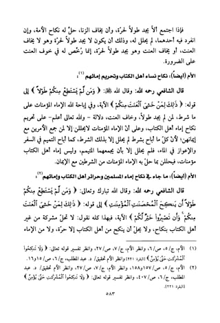 تفسير الإمام الشافعي