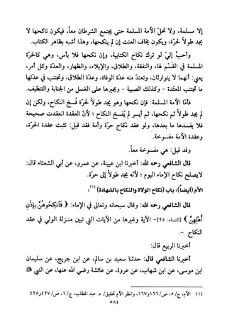 تفسير الإمام الشافعي