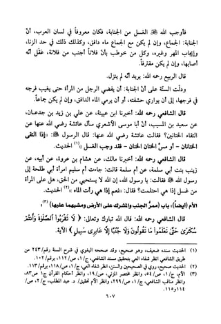 تفسير الإمام الشافعي