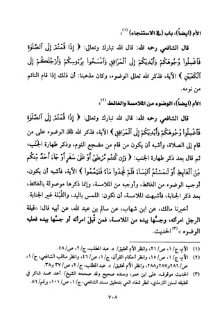 تفسير الإمام الشافعي