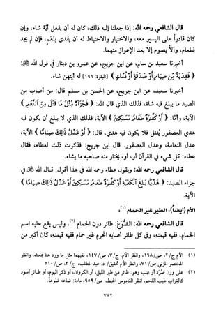 تفسير الإمام الشافعي