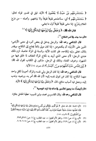 تفسير الإمام الشافعي