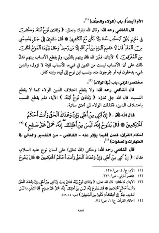 تفسير الإمام الشافعي