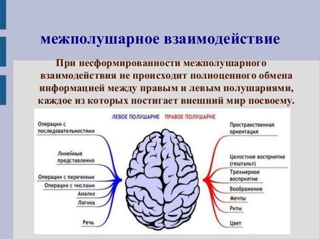 Программа межполушарное развитие. Программа межполушарное развитие