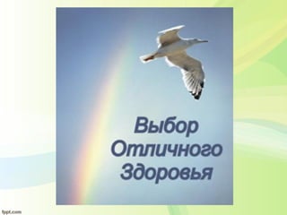 здоровый образ жизни