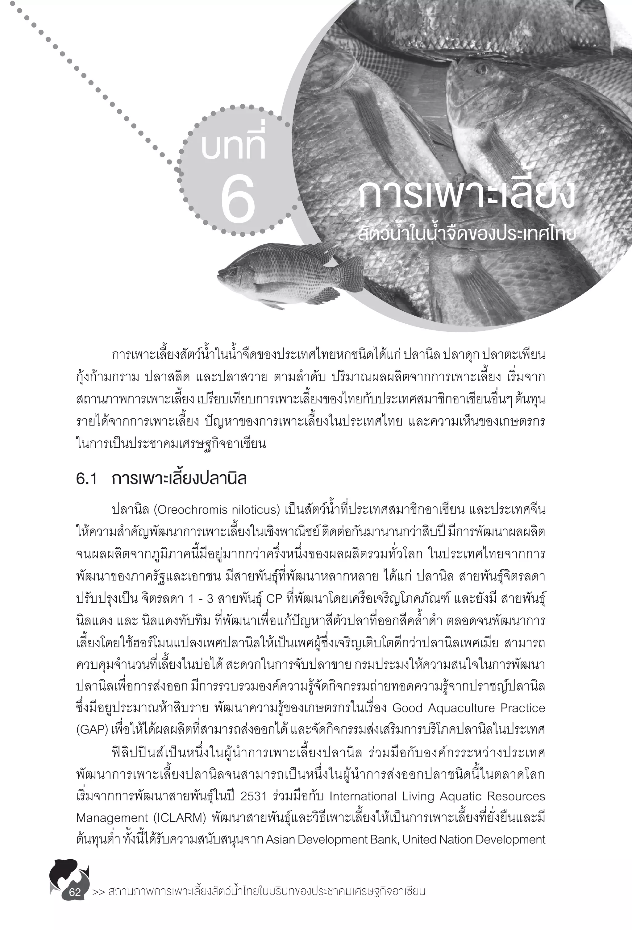 >> สถานภาพการเพาะเลี้ยงสัตว์น�้ำไทยในบริบทของประชาคมเศรษฐกิจอาเซียน62
	 การเพาะเลี้ยงสัตว์น�้ำในน�้ำจืดของประเทศไทยหกชนิดได้แก่ปลานิลปลาดุกปลาตะเพียน
กุ้งก้ามกราม ปลาสลิด และปลาสวาย ตามล�ำดับ ปริมาณผลผลิตจากการเพาะเลี้ยง เริ่มจาก
สถานภาพการเพาะเลี้ยงเปรียบเทียบการเพาะเลี้ยงของไทยกับประเทศสมาชิกอาเซียนอื่นๆต้นทุน
รายได้จากการเพาะเลี้ยง ปัญหาของการเพาะเลี้ยงในประเทศไทย และความเห็นของเกษตรกร
ในการเป็นประชาคมเศรษฐกิจอาเซียน
6.1	 การเพาะเลี้ยงปลานิล
	 ปลานิล (Oreochromis niloticus) เป็นสัตว์น�้ำที่ประเทศสมาชิกอาเซียน และประเทศจีน
ให้ความส�ำคัญพัฒนาการเพาะเลี้ยงในเชิงพาณิชย์ติดต่อกันมานานกว่าสิบปีมีการพัฒนาผลผลิต
จนผลผลิตจากภูมิภาคนี้มีอยู่มากกว่าครึ่งหนึ่งของผลผลิตรวมทั่วโลก ในประเทศไทยจากการ
พัฒนาของภาครัฐและเอกชน มีสายพันธุ์ที่พัฒนาหลากหลาย ได้แก่ ปลานิล สายพันธุ์จิตรลดา
ปรับปรุงเป็น จิตรลดา 1 - 3 สายพันธุ์ CP ที่พัฒนาโดยเครือเจริญโภคภัณฑ์ และยังมี สายพันธุ์
นิลแดง และ นิลแดงทับทิม ที่พัฒนาเพื่อแก้ปัญหาสีตัวปลาที่ออกสีคล�้ำด�ำ ตลอดจนพัฒนาการ
เลี้ยงโดยใช้ฮอร์โมนแปลงเพศปลานิลให้เป็นเพศผู้ซึ่งเจริญเติบโตดีกว่าปลานิลเพศเมีย สามารถ
ควบคุมจ�ำนวนที่เลี้ยงในบ่อได้สะดวกในการจับปลาขายกรมประมงให้ความสนใจในการพัฒนา
ปลานิลเพื่อการส่งออกมีการรวบรวมองค์ความรู้จัดกิจกรรมถ่ายทอดความรู้จากปราชญ์ปลานิล
ซึ่งมีอยูประมาณห้าสิบราย พัฒนาความรู้ของเกษตรกรในเรื่อง Good Aquaculture Practice
(GAP)เพื่อให้ได้ผลผลิตที่สามารถส่งออกได้และจัดกิจกรรมส่งเสริมการบริโภคปลานิลในประเทศ
	 ฟิลิปปินส์เป็นหนึ่งในผู้น�ำการเพาะเลี้ยงปลานิล ร่วมมือกับองค์กรระหว่างประเทศ
พัฒนาการเพาะเลี้ยงปลานิลจนสามารถเป็นหนึ่งในผู้น�ำการส่งออกปลาชนิดนี้ในตลาดโลก
เริ่มจากการพัฒนาสายพันธุ์ในปี 2531 ร่วมมือกับ International Living Aquatic Resources
Management (ICLARM) พัฒนาสายพันธุ์และวิธีเพาะเลี้ยงให้เป็นการเพาะเลี้ยงที่ยั่งยืนและมี
ต้นทุนต�่ำ ทั้งนี้ได้รับความสนับสนุนจากAsianDevelopmentBank,UnitedNationDevelopment
บทที่
6 การเพาะเลี้ยง
สัตว์น�้ำในน�้ำจืดของประเทศไทย
 