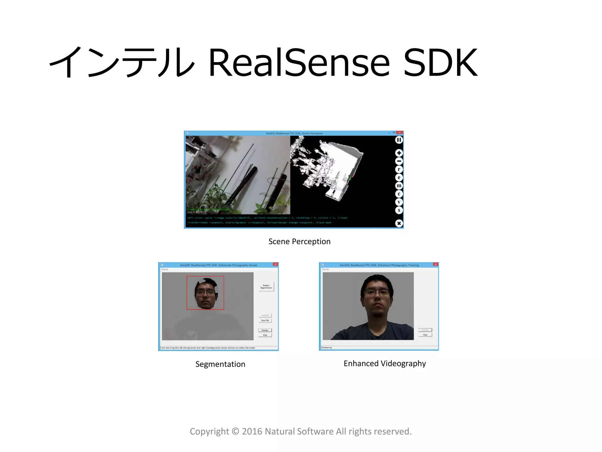 インテル RealSense SDK
Copyright © 2016 Natural Software All rights reserved.
Scene Perception
Enhanced VideographySegmentation
 
