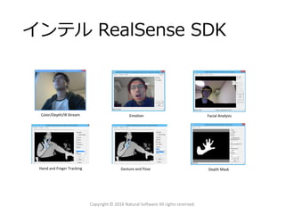 インテル RealSense SDK
Copyright © 2016 Natural Software All rights reserved.
Color/Depth/IR Stream Facial AnalysisEmotion
Hand and Finger Tracking Gesture and Pose Depth Mask
 